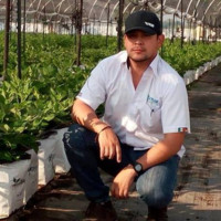 Geotran Amhed Barraza Valdez