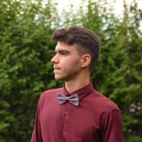 Alin Gabriel Neculae