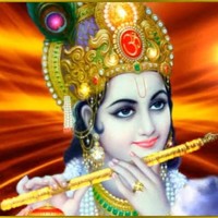 Avnie Kanishk