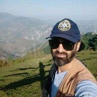 Syed Ali Abbas
