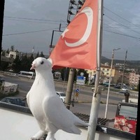 Mücahit Aksoy