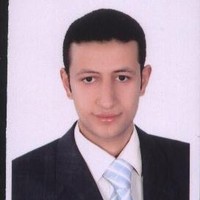 Hossam Noweer