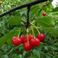 SharingProd TestUserTwo