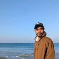 hamza alam