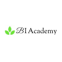 BI Academy