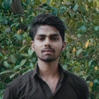 BALAJI N