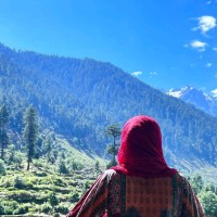 Amina Malik