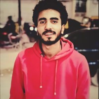 Alaa Waly