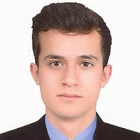 David Alejandro Páez Reyes