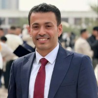 Ahmed A. Al-Karmalawy