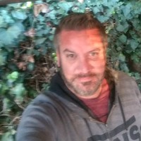 Steve Herrera