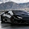 The Boy