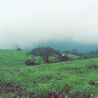 خلود المطيري