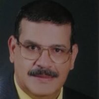 gamal zidan