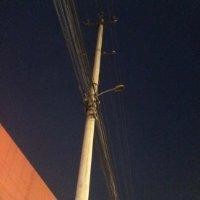王洪利