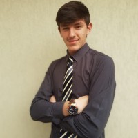 Vinicius Holtman