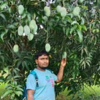 Satish Singh Chauhan
