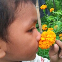 Laxman Basnet