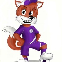 Újpest Futsal