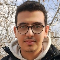 Mohammad Parsa Maraliyan