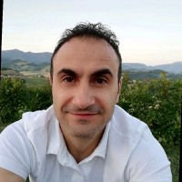 Daniele Grini