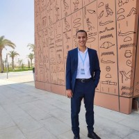 Ahmed Fawzy Sultan