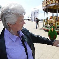 Carla Hees- Van Dijk