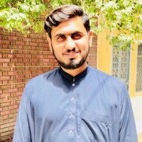 Hafiz Qaswar Hussain