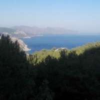 Ahmet Kayan