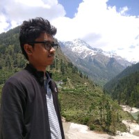 Mayank Wasnik