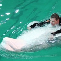 Олег Усенко