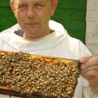 Jozef Rayen