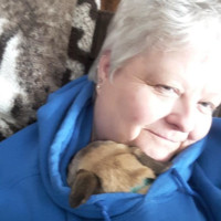 Arlene Spinks