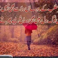 Malik Saleem Malik Saleem