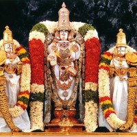 DEVRAJ 80