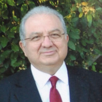 Mehmet Hacıhanefioğlu
