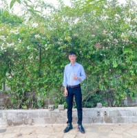 Việt Anh Trần