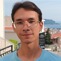 Damir S.