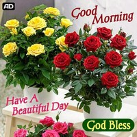 Sankar King