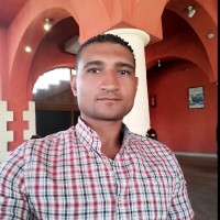 Gamal El Sheikh