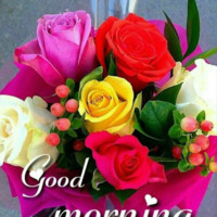Rajesh Hb