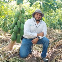 Luis José Navarrete Gutiérrez