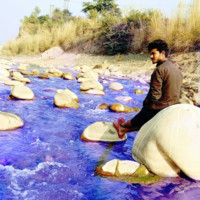 Rajneesh Sahu