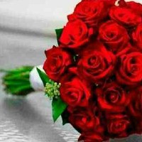 Waleed Amer