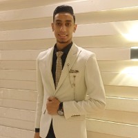 Amr Khaled Elrayes