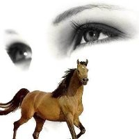 Δpөᄂᄂө Pδяƭｻiбδп︻┳