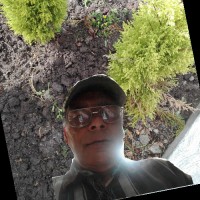 Guillermo V Flores Castellanos