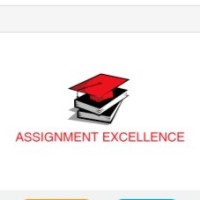 ASSIGNMENT EXCELLENCE