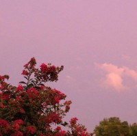 j u s t h a p p y w h e n y o u w a n t