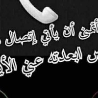 bandar hamed